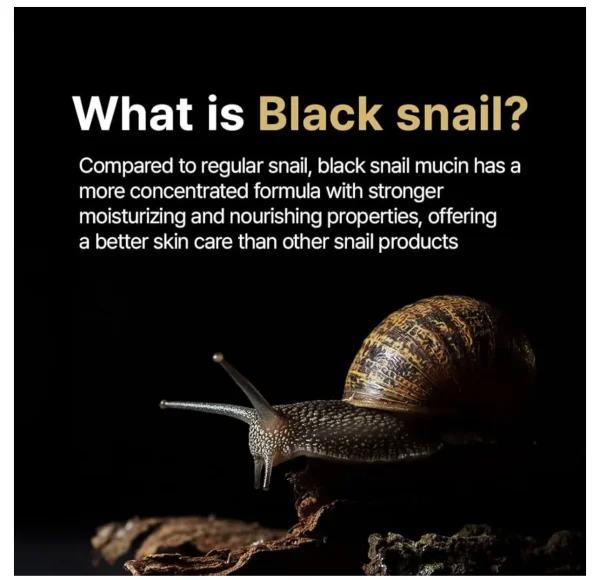 FARMSTAY Black Snail  & Peptide 9 (4.05 oz)